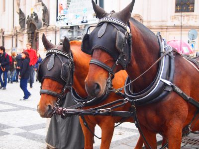 プラハの馬車