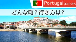 対岸から見る町並がオススメ！ポルトガルの大学都市コインブラを観光