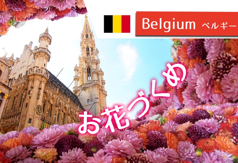 お花好き必見！ブリュッセル市庁舎のイベント・フラワータイムって？