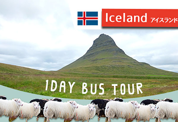 アイスランドの自然風景を味わえる！スナイフェルスネス半島へ日帰り
