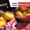 夏のオランダ観光はチーズマーケットがおすすめ！ゴーダの市場を訪問