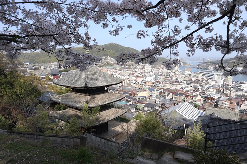 天寧寺三重塔と桜